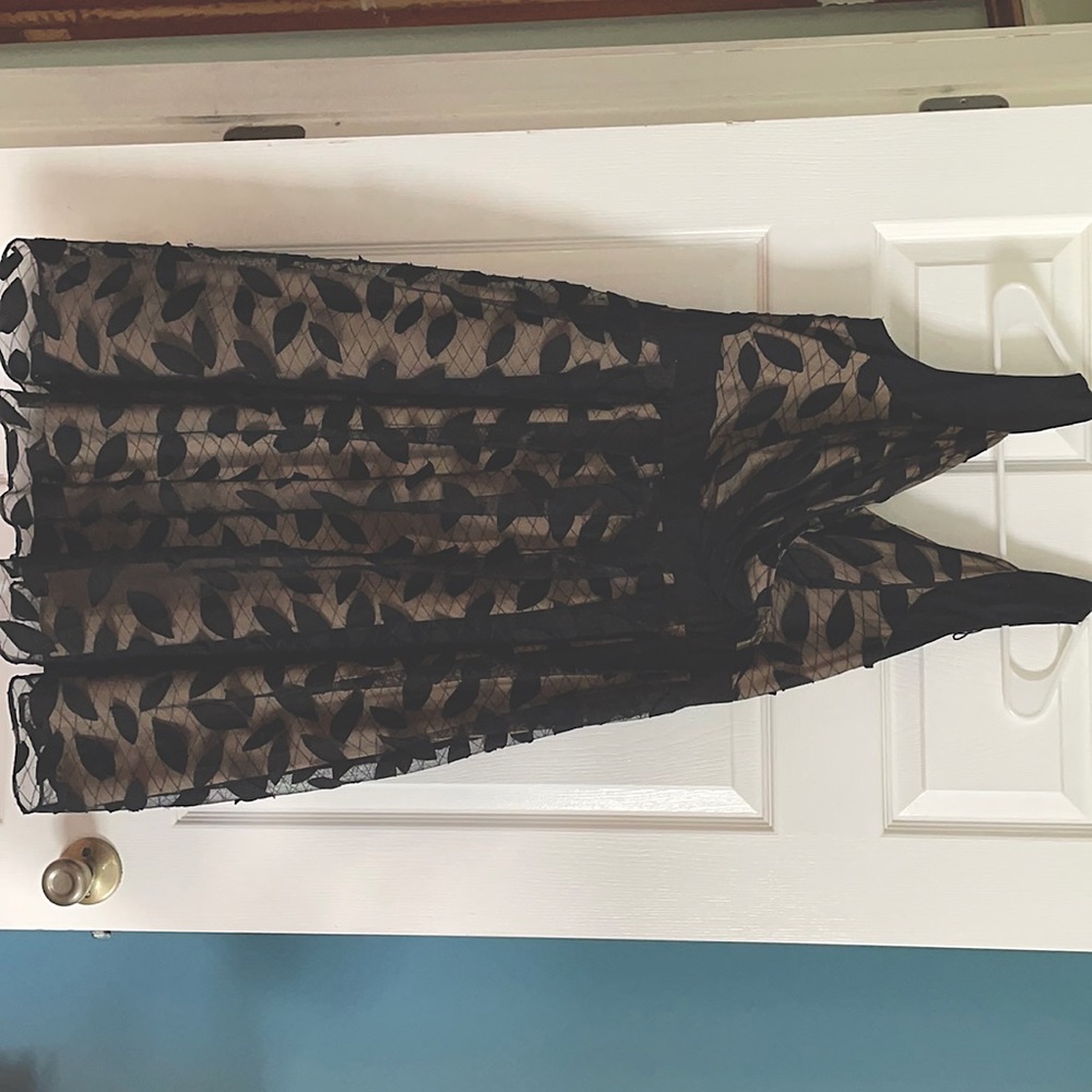 Adrianna papell dress